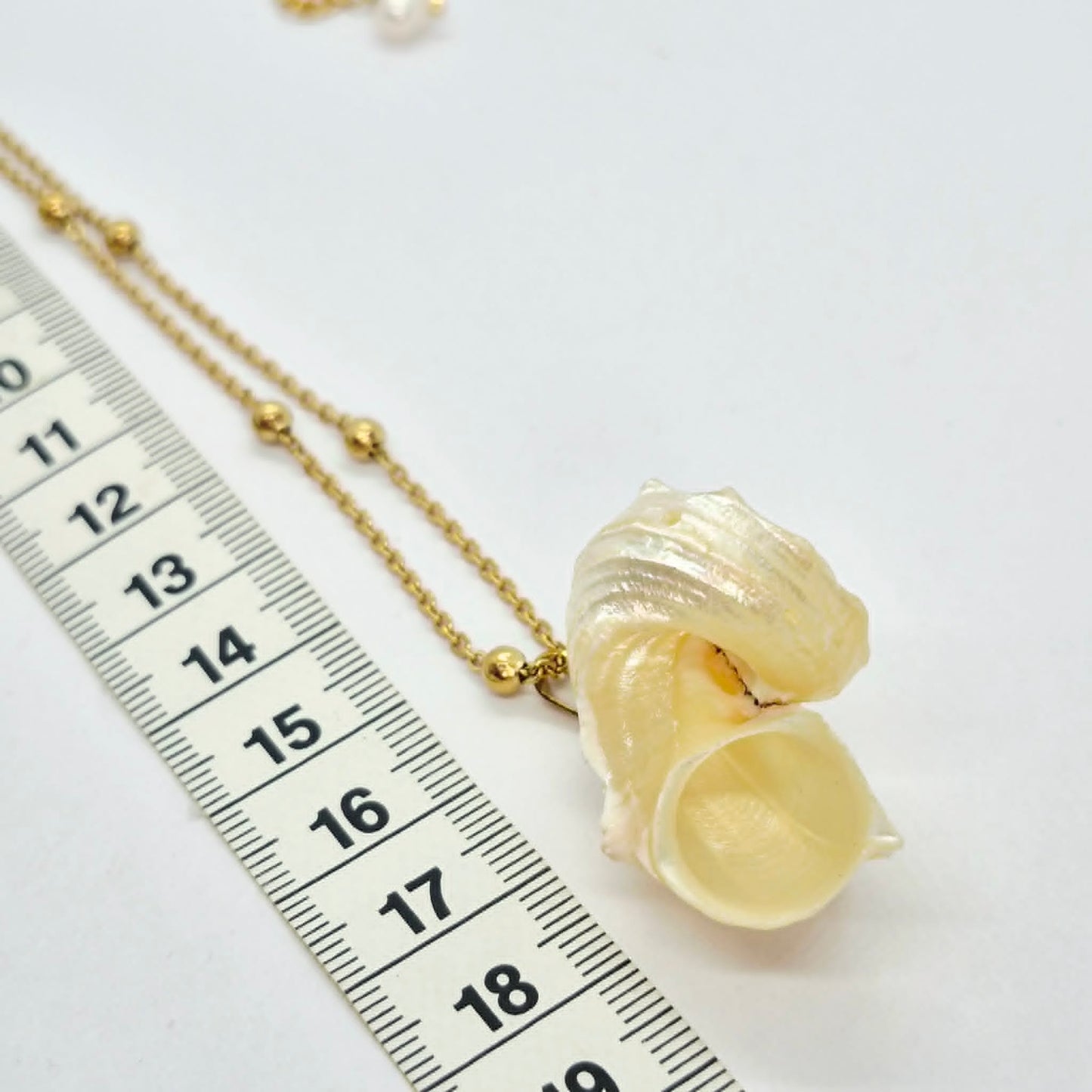 Natural Shell Pendant with Gold Plated Stainless Steel Snake Chain Necklace