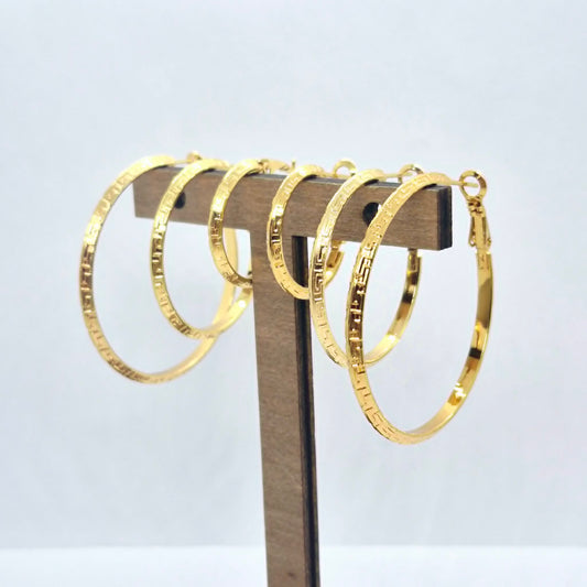 Stainless Steel Gold Plated Hoop Earrings