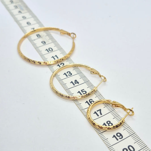 Stainless Steel Gold Plated Hoop Earrings